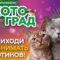 КотоГрад
